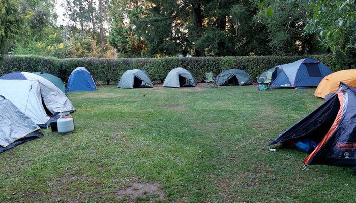 Scouts Camp Brings Adventure to North Canterbury