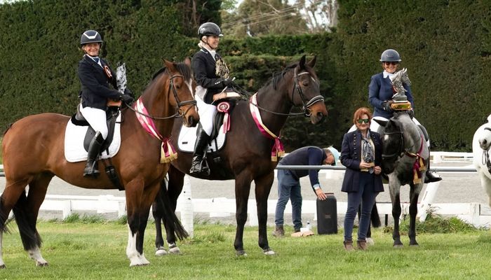 Dressage at Rangiora A & P showgrounds