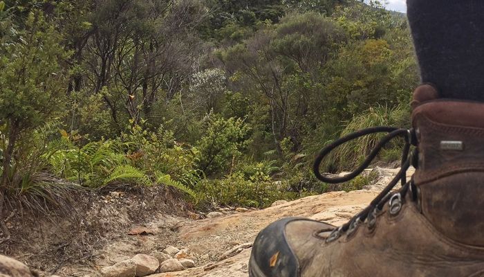 Searching for Trampers