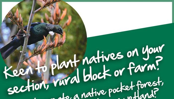 Bringing Native Life Back to Your Land