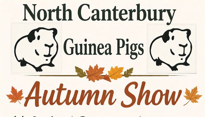 North Canterbury Guinea Pigs Autumn Show