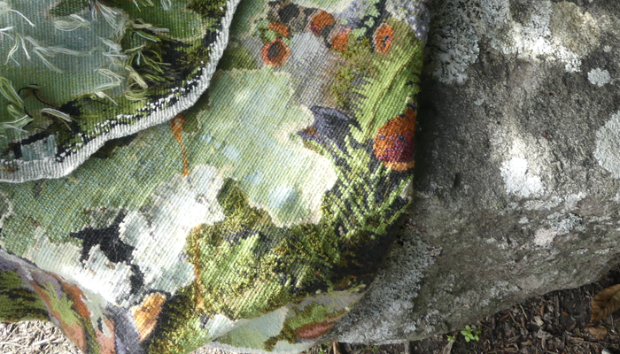 Nature’s Symphony - a visual journey through our Forests