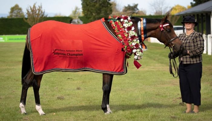Brecland Park Spring Show 2026