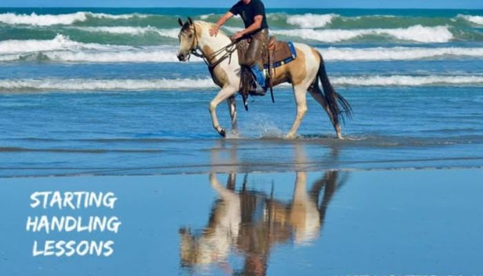 WRC Speaker Dinner with Rory McTavish