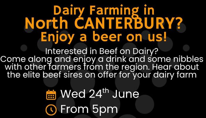 Beef on Dairy Pub Discussion